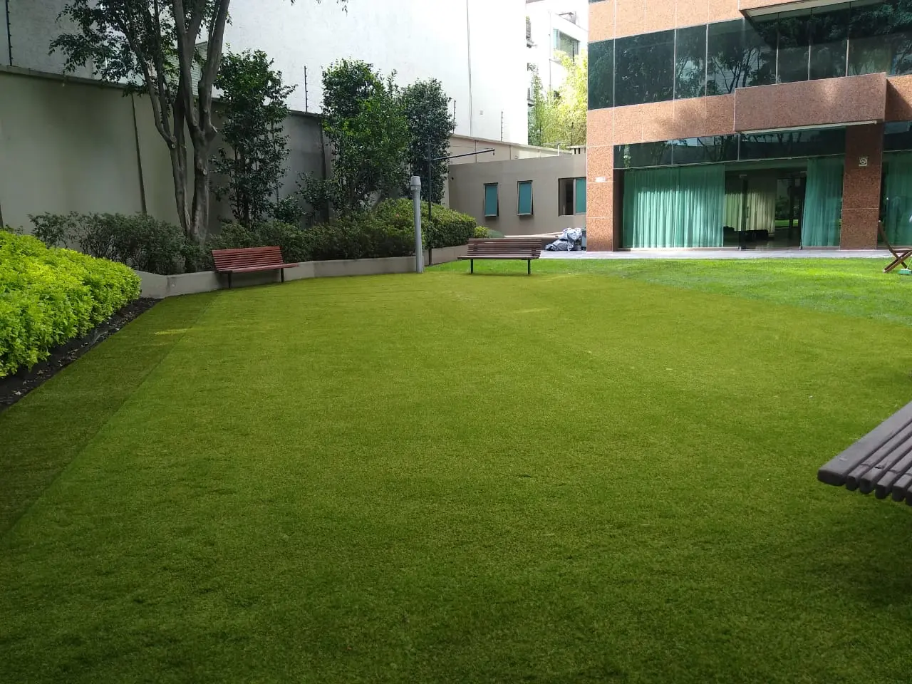 Pasto recidencial